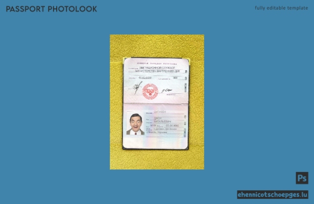 Beispielansicht eines Passfotos der Volksrepublik Donezk